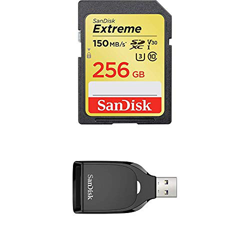 Exrteme 256 GB memoria flash SDXC Clase 10 UHS-I, Tarjeta de memoria características