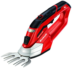 Einhell GE-CG 12 Li WT precio