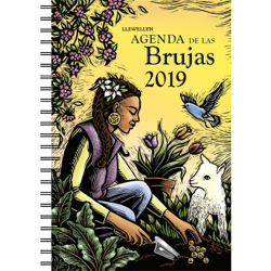 Agenda 2019 de las brujas en oferta