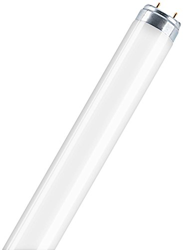 Osram L 36W/880 SKYWHITE en oferta