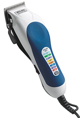 Wahl ColorPro