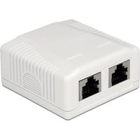 Delock 86197 socket-outlet 2 x RJ-45 White Network Wall Outlet 2 Port Cat.6A