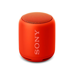 Altavoz bluetooth Sony SRSXB10R Rojo precio