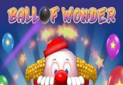 Ball of Wonder Steam CD Key en oferta