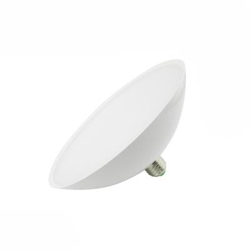 Bombilla LED especial para carnes E27 24W características