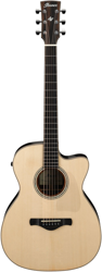 Ibanez ACFS580CE en oferta