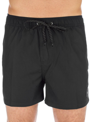 Quiksilver Everyday Volley 15'' Boardshorts negro características