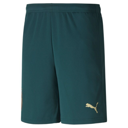 Puma - Pantalón Corto De Hombre 3ª Equipación Selección Italiana De Fútbol 2019 precio