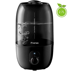 iTvanila Humidificador Ultrasónico Silencioso, 2.7L Humidificador de Vapor Frío para Bebés Dormitorio y Oficina Dura hasta 28 Horas, Vapor Controlable precio