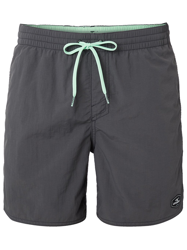 O'Neill Vert Boardshorts gris precio