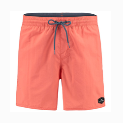 O'Neill Vert Boardshorts naranja características