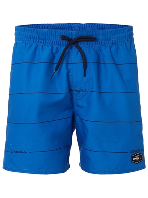 O'Neill Contourz Boardshorts azul