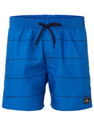 O'Neill Contourz Boardshorts azul características