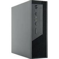 BU-12B-300 unité centrale Small Form Factor (SFF) Noir 300 W, Châssis mini-tour en oferta