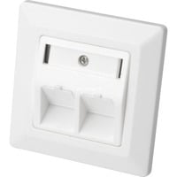 DN-93801-1 prise de courant RJ-45 Blanc, Boîte características