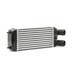 RIDEX Intercooler 468I0135 Echangeur Air Air,Echangeur Air Eau PEUGEOT,CITROËN,OPEL,207 (WA_, WC_),208 I Schrägheck (CA_, CC_),PARTNER Tepee en oferta