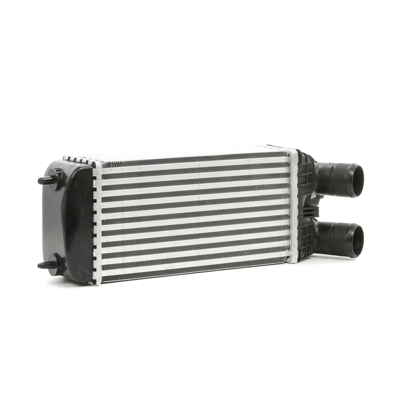 RIDEX Intercooler 468I0135 Echangeur Air Air,Echangeur Air Eau PEUGEOT,CITROËN,OPEL,207 (WA_, WC_),208 I Schrägheck (CA_, CC_),PARTNER Tepee