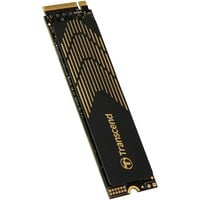 240S M.2 1000 Go PCI Express 4.0 3D NAND NVMe, SSD