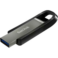 Extreme Go lecteur USB flash 256 Go USB Type-A 3.2 Gen 1 (3.1 Gen 1) Acier inoxydable, Clé USB