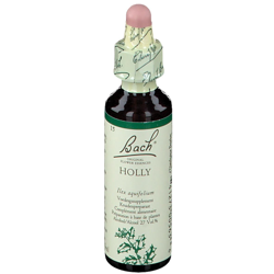 Bach Flower Remedie Holly en oferta