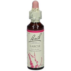 Fleurs de Bach® Larch características