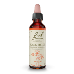 Bach® Original Rock Rose N° 26 en oferta