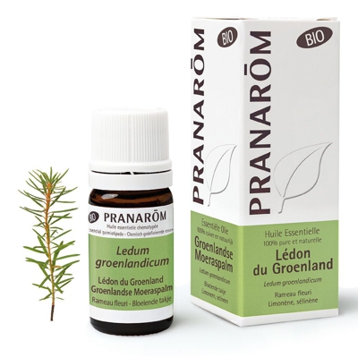 Pranarom Huile Essentielle Lédon du Groenland Bio