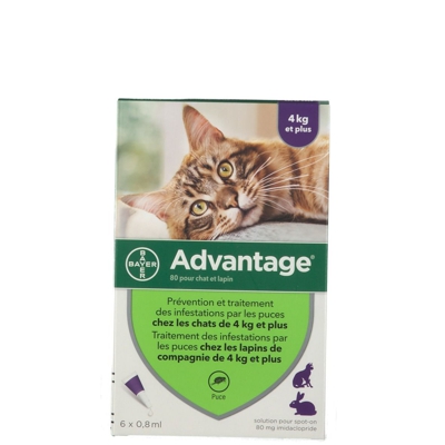 Advantage 80 pour chat et lapin