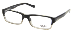 Lunettes de vue RAY-BAN RX 5169 5540 Highstreet 54/16 precio