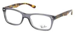 Lunettes de vue RAY-BAN RX 5228 5629 55/17 características