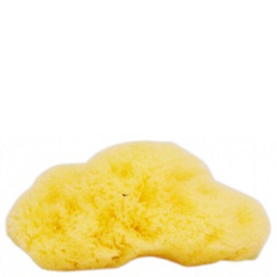 Eponge de mer éthique Fina Silk de Natural Sea Sponge Company (7,5 cm)