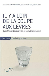 Il y a Loin de la Coupe Aux Levres: Quand l'Acces a l'Eau Devient un Enjeu.. precio