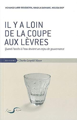 Il y a Loin de la Coupe Aux Levres: Quand l'Acces a l'Eau Devient un Enjeu..