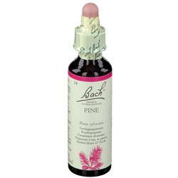 Bach Flower Remedie 24 Pine en oferta