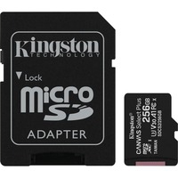 Canvas Select Plus microSD Card 256 Go, Carte mémoire