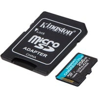 Canvas Go! Plus 256 Go microSDXC, Carte mémoire precio