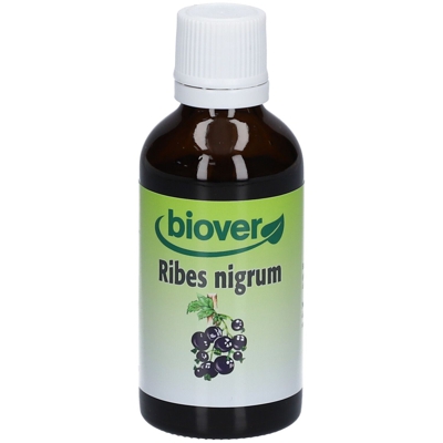 Biover Groseillier noir (Ribes nigrum) Teinture mère Bio