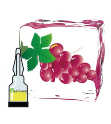 Arôme freshgrape Vap'fusion en oferta