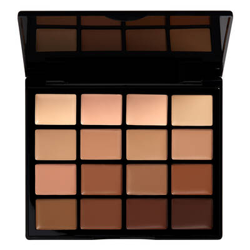 Palette teint pro en oferta