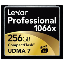 1066X CF PROFESSIONAL UDMA7 256GB precio