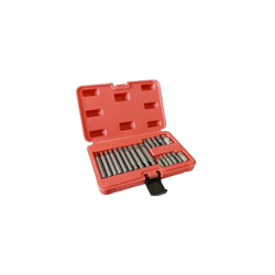 Inserti Chiavi Bussole Chiavi Torx Set 21 Pz Hex 1/2" 3/8" - TP características