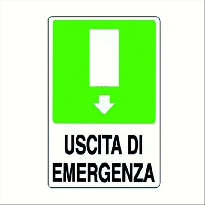 Cart.''Uscita Emergenza'' Pvc 30X20 - IST