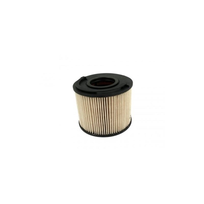 Filtro Carburante PE973/6 W973/6 N505 1457070010 PU821X2 PU1033X - Filtron