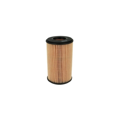 Filtro Olio FILTRON OE666 F026408703 HU611x OP228 2502200 WAG WO666