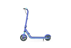 NINEBOT BY SEGWAY ZING E8, Monopattino per Bambini E Ragazzi Unisex-Youth, Blu, Standard precio