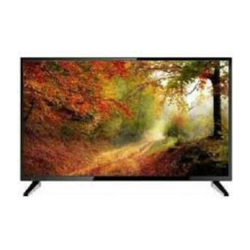 TV 24'' BOLVA HD LED HDMI DVBT2 HDMI / USB FUNZIONE HOTEL en oferta