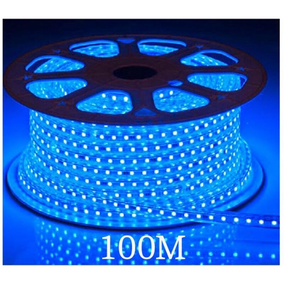 Bobina striscia led 2835 100MT luce blu flessibile siliconata fila singola - DRIWEI