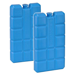 HaushaltsInternational - Set di 2 mattonelle refrigeranti per borsa frigo da 200 g, 15 x 8 x 2 cm, colore: Blu características