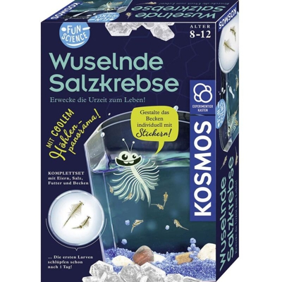 Kosmos 654160 FunScience Wuselnde Salzkrebse Biologia Kit esperimenti da 8 anni