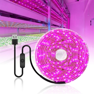 Grow light strip Lampada fito con chip USB 2835 a spettro completo impermeabile per piante fiori serra idroponica (tipo A 300 cm)